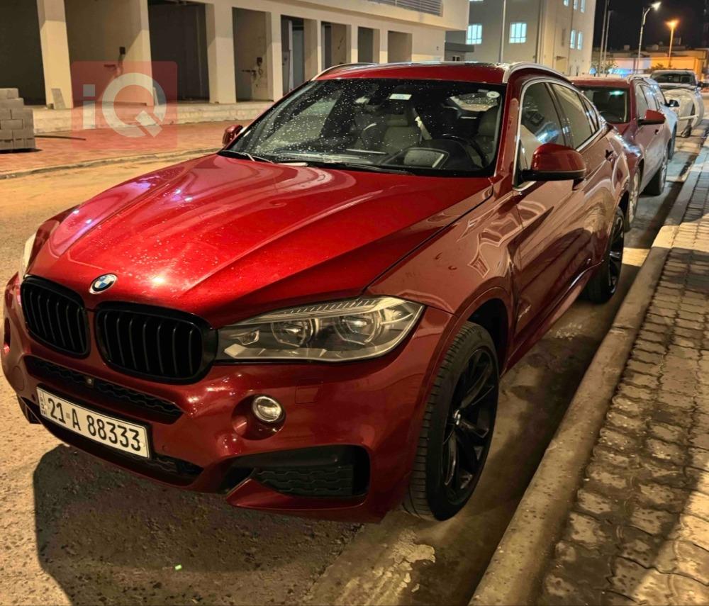 BMW X6